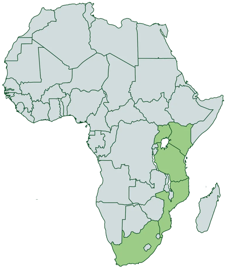 Focus Group anti-poaching operations in the field